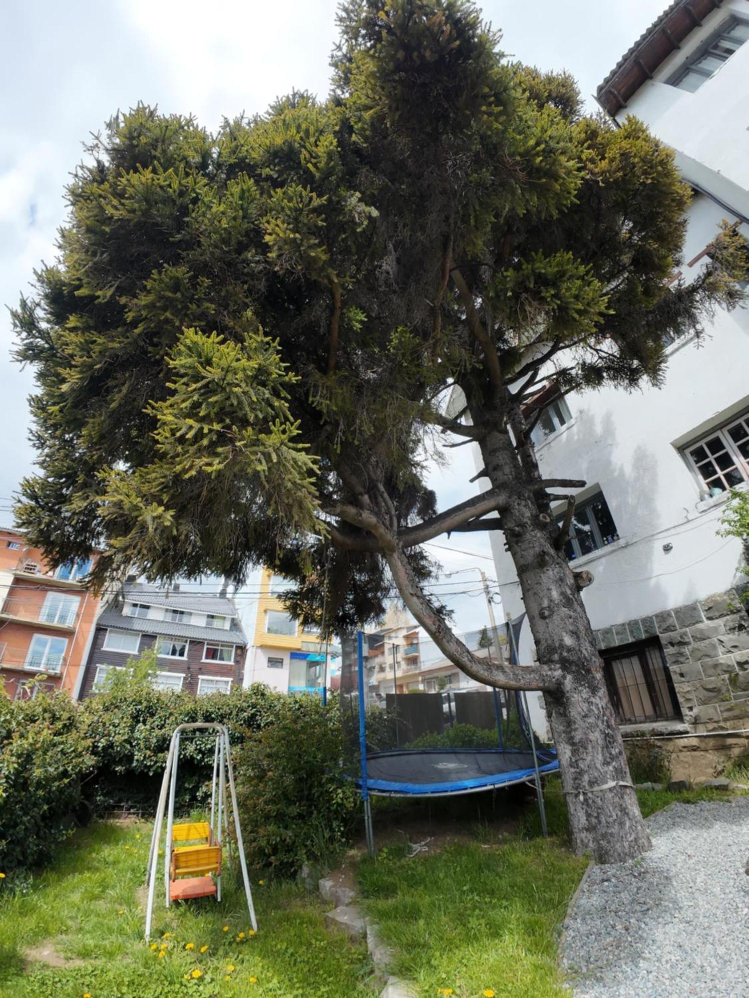 Temiscira Hostel San Carlos de Bariloche Ngoại thất bức ảnh