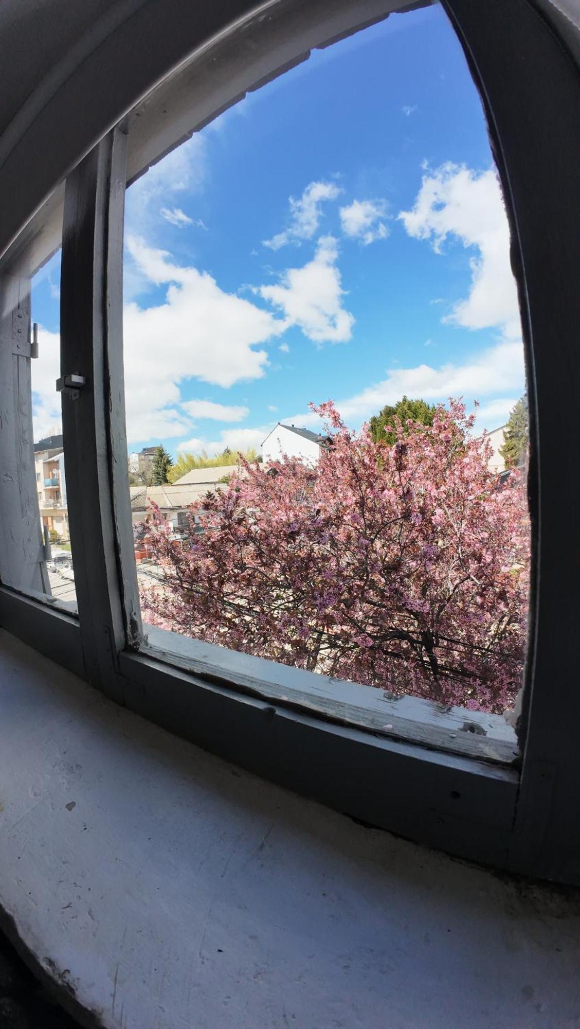 Temiscira Hostel San Carlos de Bariloche Ngoại thất bức ảnh